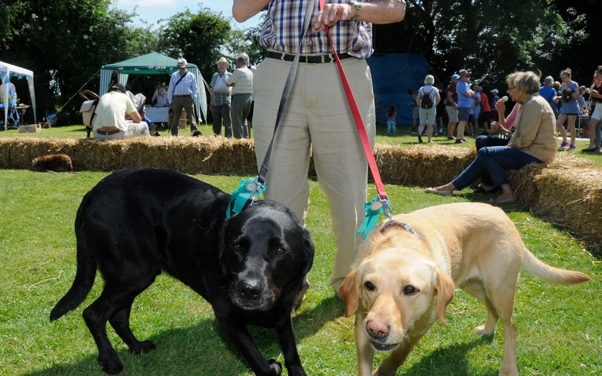 Fete 2017 Dog Show winners